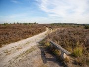 Wandelen op de Holterberg