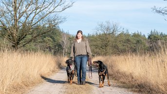 Workshop: Ontspannen wandelen zonder trekken