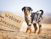 webinar Minna Yrjana