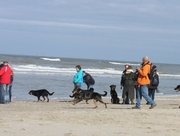 Avond strandwandeling