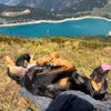 Winnaar vakantiefoto wedstrijd is bekend