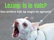 Lezing: Is ie vals?